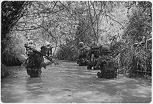 две колонны морских пехотинцев пробираются по пояс в джунглях
