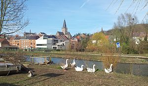 Les oies de Grammont. (Belgique)