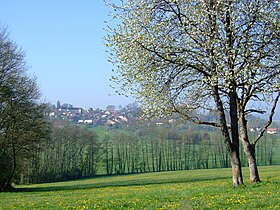 Vue générale au printemps