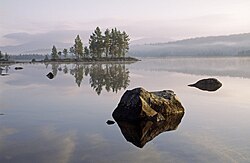 Jezero v parku