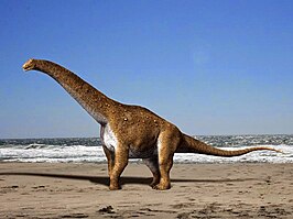 Hypselosaurus