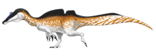Dessin reconstituant Ichthyovenator, basées sur les spinosauridés apparentés.