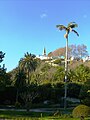 Vue à partir du Jardin Duque da Terceira.