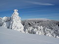 Pohľad na poľský vrch Wielka Rawka (1 307,2 m n. m.) z vrcholu Kamennej lúky