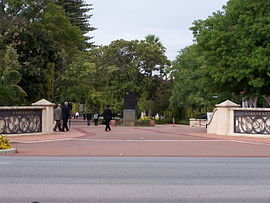 Karrakatta cem gnangarra.jpg