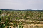 Vignette pour Parc national de Kauhaneva-Pohjankangas