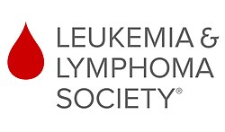 Логотип LLS .jpg