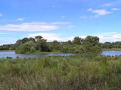 Lake Lorne 03.jpg