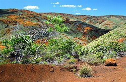 Landskap in die suide van Grande Terre