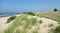 Ludington State Park