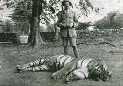 Чампаватская тигрица - убитая в 1907 году известным охотником Джимом Корбеттом