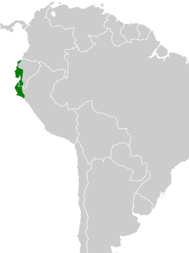 Ecuadorelenia