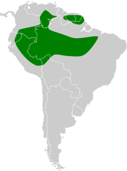 Distribución geográfica del bienteveo pechioscuro