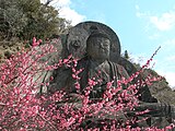 日本寺大仏の梅