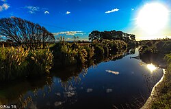 Sunset colours along the Orini Stream