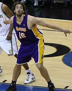 Pau Lakers