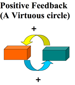 positive feedback virtuous circle