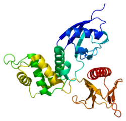 Protein RDX PDB 1gc6.png