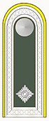 Rank insignia of Feldwebel of the Wehrmacht.jpg