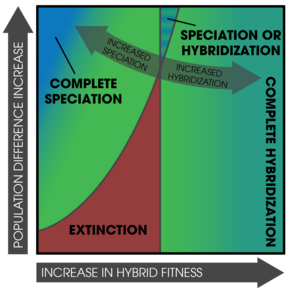 A parameter space representing the conditions in which speciation by reinforcement can occur. Here, three outcomes can arise: 1) extinction of one of the initial populations; 2) the initial populations can hybridize; 3) the initial populations can speciate. The outcomes are determined by both initial divergence and level of fitness of the hybrids. Reinforcement Parameter Space (annot).png