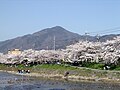 2005年4月9日 (土) 09:05時点における版のサムネイル