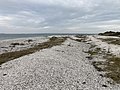 Strandvolde af muslingeskaller