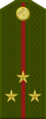 тоҷикӣ: Лейтенанти калон (Tajik National Army)[32]