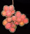 Rambutan