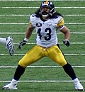 Miniatura para Troy Polamalu