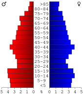 Bevolkingspiramide Wright County