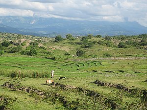 Blick über die Reisfelder in Caibada mit dem Matebian im Hintergrund