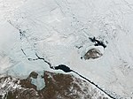 August/September 2010: Die russische Wrangelinsel im Juni 2001, aufgenommen von MODIS