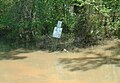 Ochlockonee flooding in Gadsden Co., Florida, near Fairbanks Ferry Road Bridge.