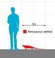 Aerosaurus