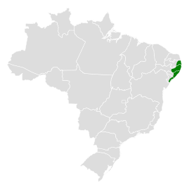 Pernambucobladspeurder