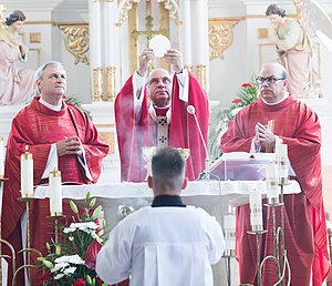 A priest elevates the host during a Catholic Mass, one of the most widely performed rituals in the world. B. Bober.jpg