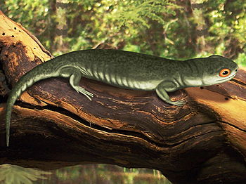 Life restoration of Batropetes fritschi.