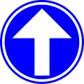 D1a: Requirement to follow the direction indicated by the arrow – straight