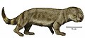 Bienotherium