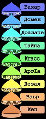 The various levels of the scientific classification system.