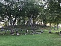 Boxwood Cemetery hillside