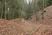 Bild 6: Vom Abschnittsgraben durchstoßener Ringwallabschnitt an der Nordseite des Bergkegels, rechts der Anstieg zum Vorburggelände (Dezember 2013)