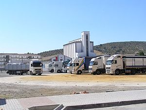 Trucks in Spain. Most Volvos, some Scanias and...