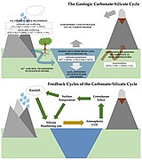 Carbon-Slicate Cycle Feedbacks