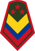Колумбия-Армия-OR-9a.svg