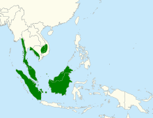 Map of Southeast Asia, with green shading indicating the black-and-red broadbill lives in Indochina, the Malay Peninsula, Borneo, and Sumatra
