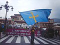 Miniatura para Movimiento por la oficialidad de la lengua asturiana