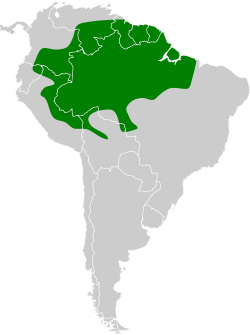 Distribución geográfica del trepatroncos barbiblanco.