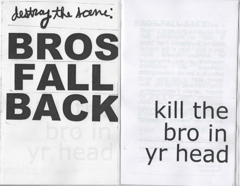 Bros Fall Back zine cover