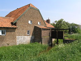 Dieterdermolen